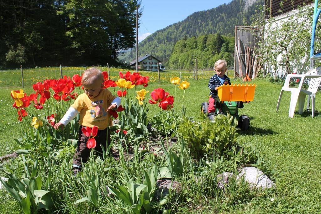 Ferienwohnungen Sutter Au (Vorarlberg) Экстерьер фото
