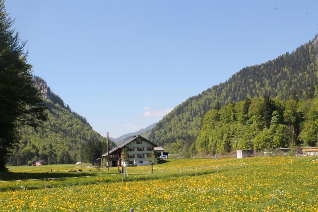 Ferienwohnungen Sutter Au (Vorarlberg) Экстерьер фото